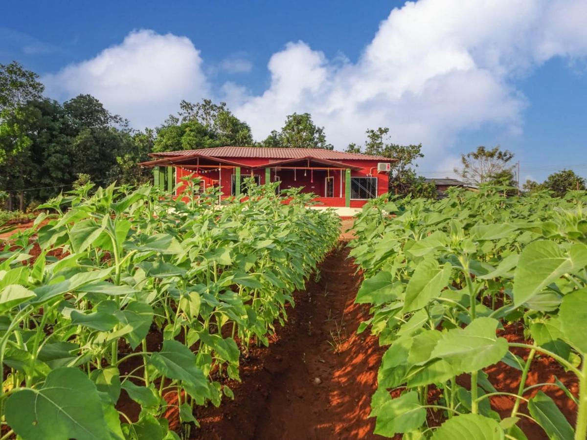 Aarya Farm Bed & Breakfast Bhom Exterior photo